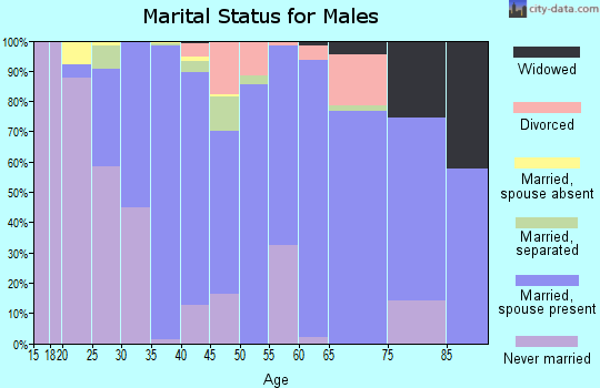 Zip code 28124 marital status for males
