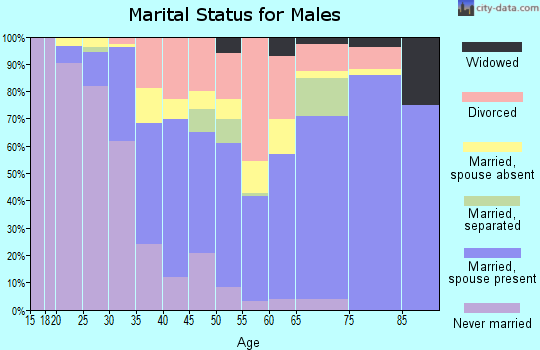 Zip code 28127 marital status for males