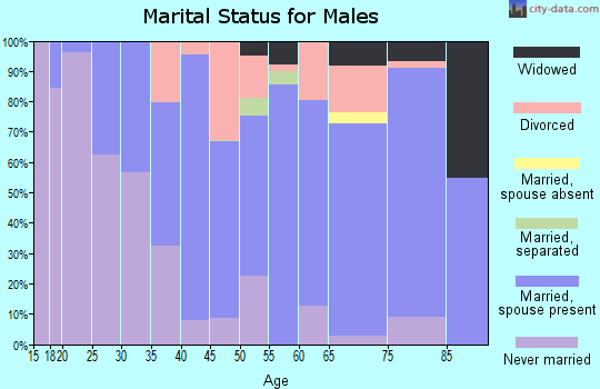 Zip code 28128 marital status for males