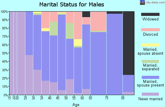 Zip code 28129 marital status for males