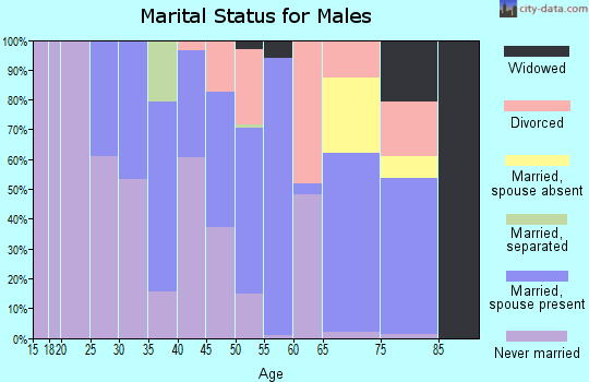 Zip code 28133 marital status for males