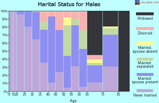 Zip code 28134 marital status