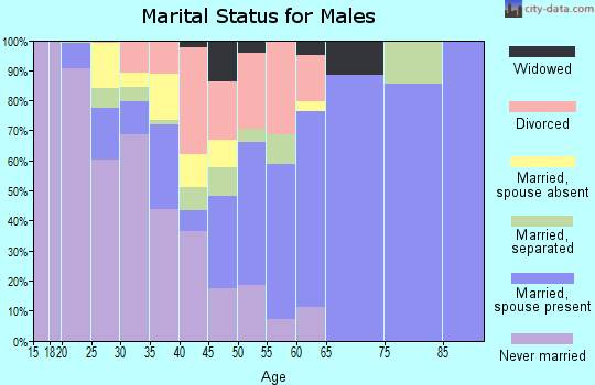 Zip code 28135 marital status for males