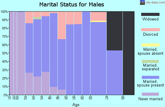 Zip code 28137 marital status for males
