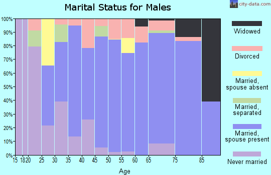 Zip code 28138 marital status for males