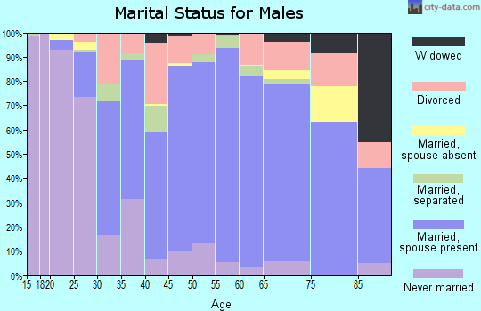 Zip code 28139 marital status for males