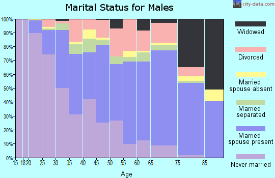 Zip code 28144 marital status