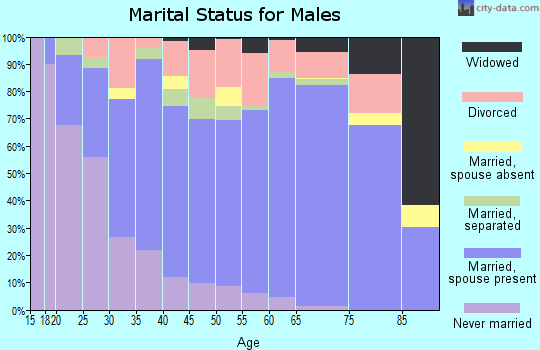 Zip code 28146 marital status