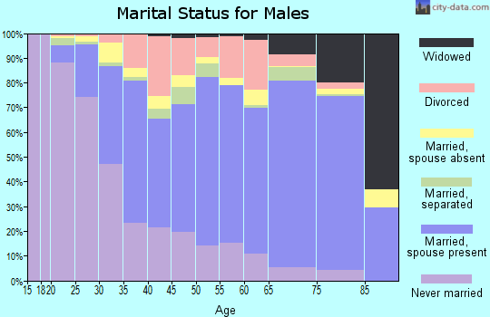 Zip code 28147 marital status for males