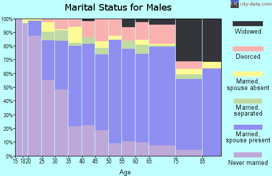 Zip code 28150 marital status for males