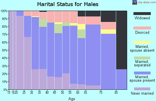 Zip code 28152 marital status for males