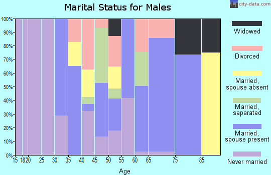 Zip code 28159 marital status for males
