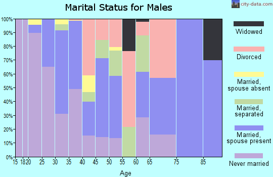 Zip code 28160 marital status for males