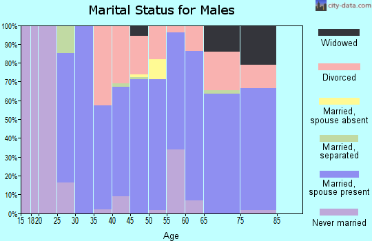 Zip code 28163 marital status for males