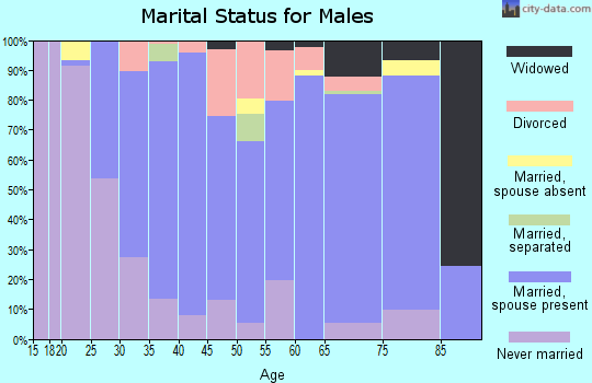 Zip code 28164 marital status for males