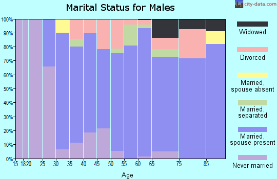 Zip code 28166 marital status for males