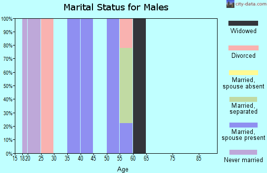 Zip code 28169 marital status for males