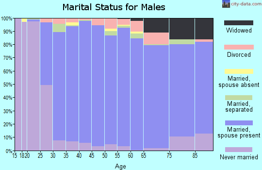 Zip code 28173 marital status for males