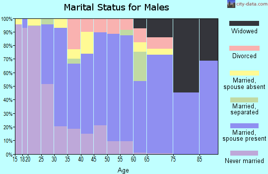 Zip code 28174 marital status for males