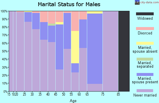 Zip code 28202 marital status for males