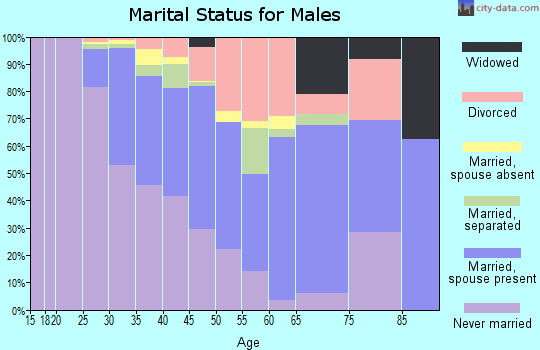 Zip code 28203 marital status for males