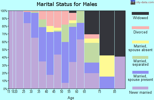 Zip code 28204 marital status for males