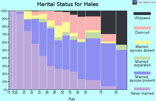 Zip code 28205 marital status for males