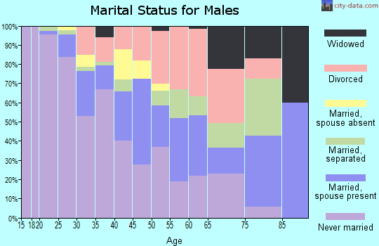 Zip code 28206 marital status for males