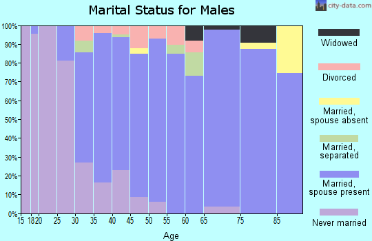 Zip code 28207 marital status for males