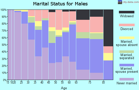 Zip code 28208 marital status for males