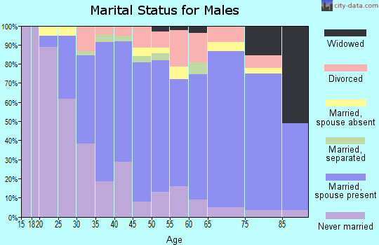 Zip code 28211 marital status for males
