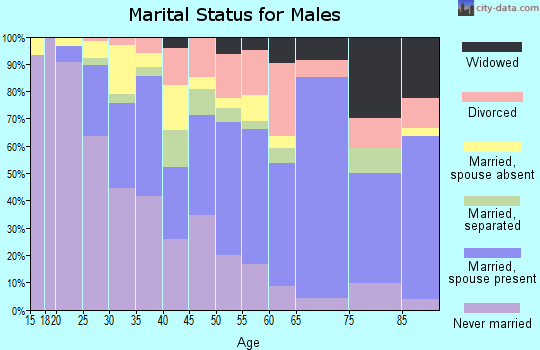 Zip code 28212 marital status for males