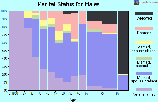 Zip code 28213 marital status for males