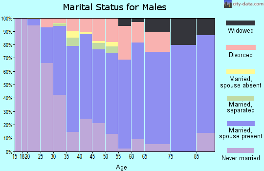 Zip code 28214 marital status for males