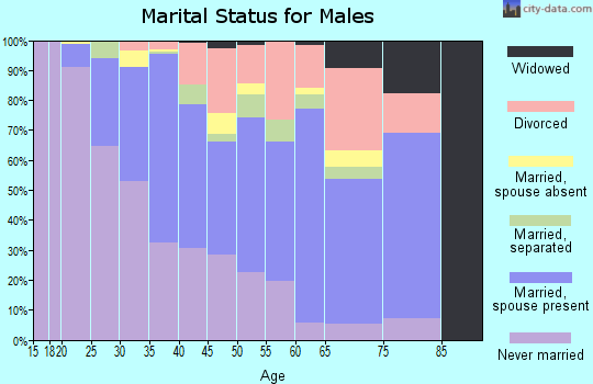 Zip code 28216 marital status for males