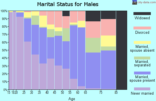 Zip code 28217 marital status for males