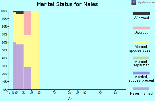 Zip code 28223 marital status for males
