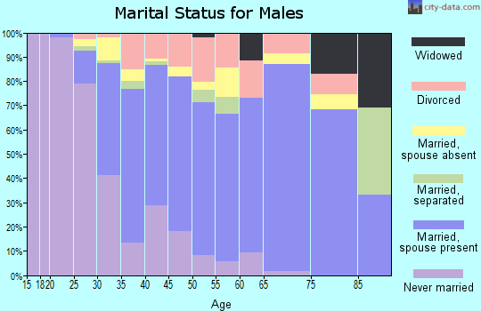 Zip code 28262 marital status for males