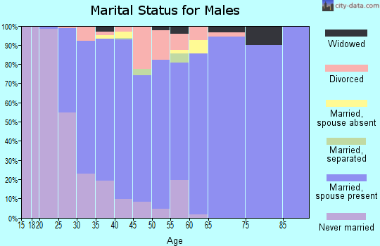Zip code 28278 marital status for males