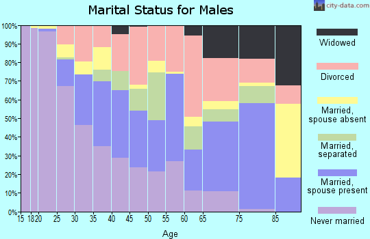 Zip code 28301 marital status for males