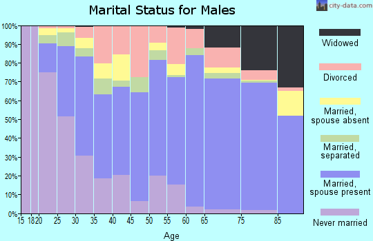 Zip code 28303 marital status for males