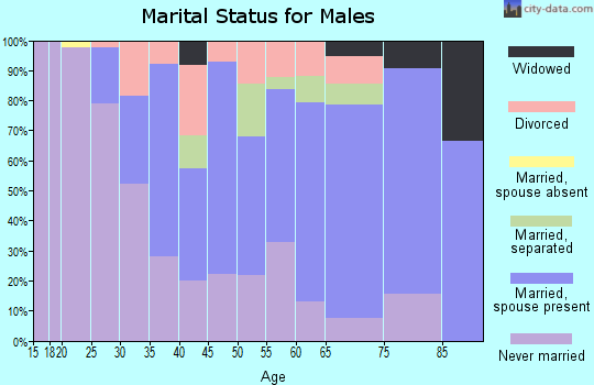 Zip code 28305 marital status for males