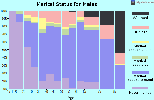 Zip code 28306 marital status for males
