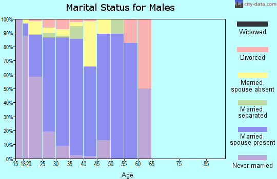 Zip code 28307 marital status for males