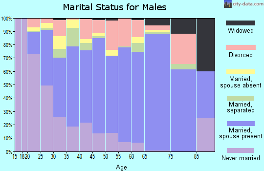 Zip code 28311 marital status for males