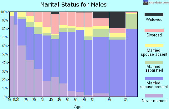 Zip code 28314 marital status for males