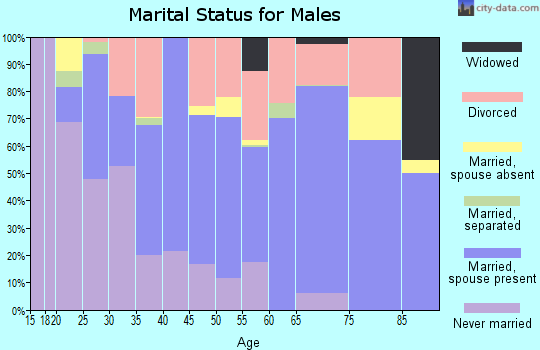 Zip code 28315 marital status for males