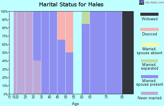 Zip code 28325 marital status for males