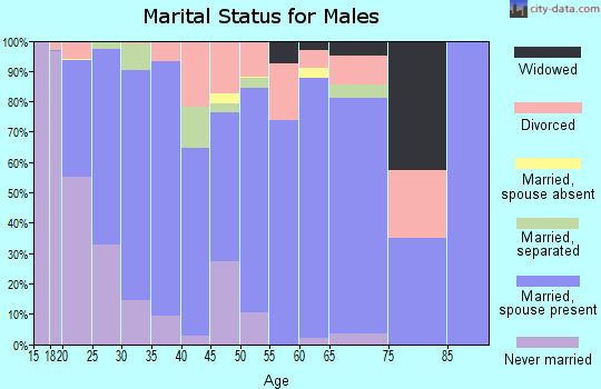 Zip code 28326 marital status for males