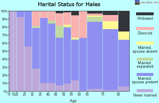 Zip code 28327 marital status for males